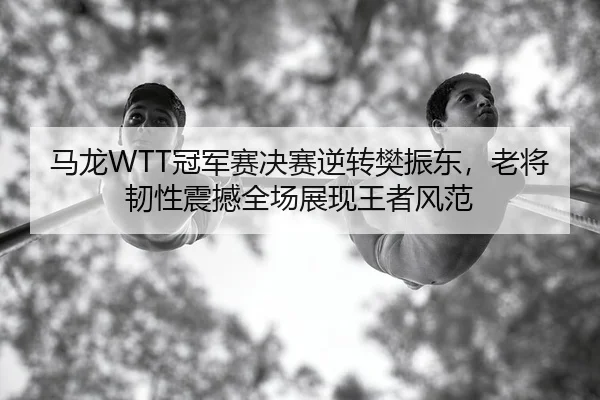 马龙WTT冠军赛决赛逆转樊振东，老将韧性震撼全场展现王者风范